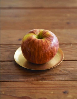 Fog Linen Work Brass Plate Round Medium