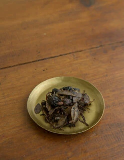 Fog Linen Work Brass Plate Round Small -Fog Linen Work shop 381 2