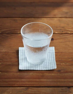 Fog Linen Work Linen Coaster Jesse